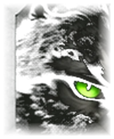 Close-up of Mr. Wolf's glowing green eye