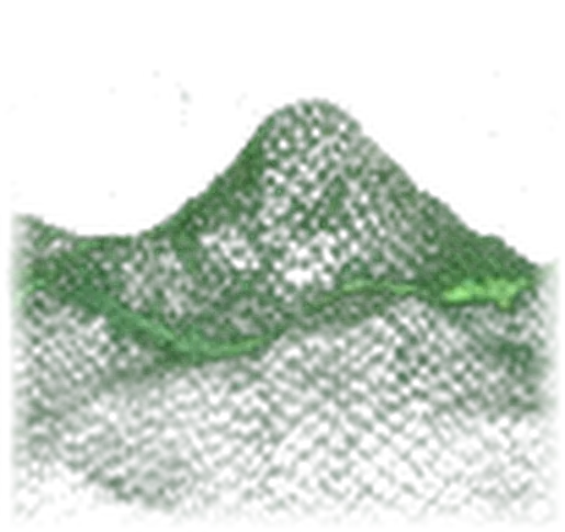 Green wireframe landscape visualization